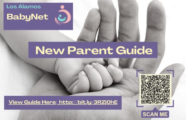 FSN :: Baby Net New Parent Guide